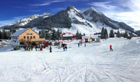 Le Nid Alpin